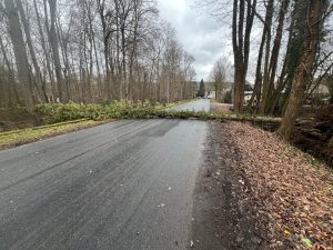 Mehr über den Artikel erfahren H1-Hilfeleistung klein – Baum auf Straße